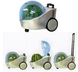 melonenbar