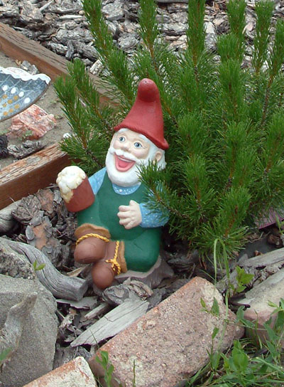 gartenzwerg