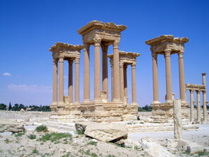 palmyra