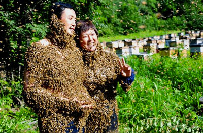 bienenschwarm