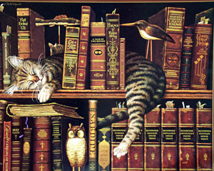 büchermitkatze