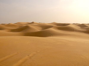 sahara