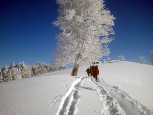 winter