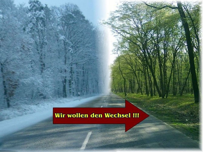 winter