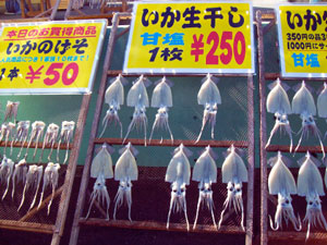 tintenfisch